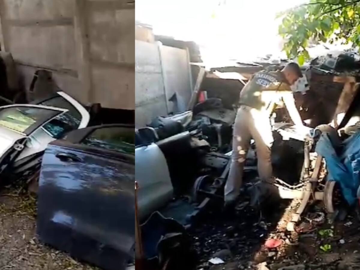 Operativo policial en San Bernardo: Carabineros halla parcela usada como acopio de autos robados