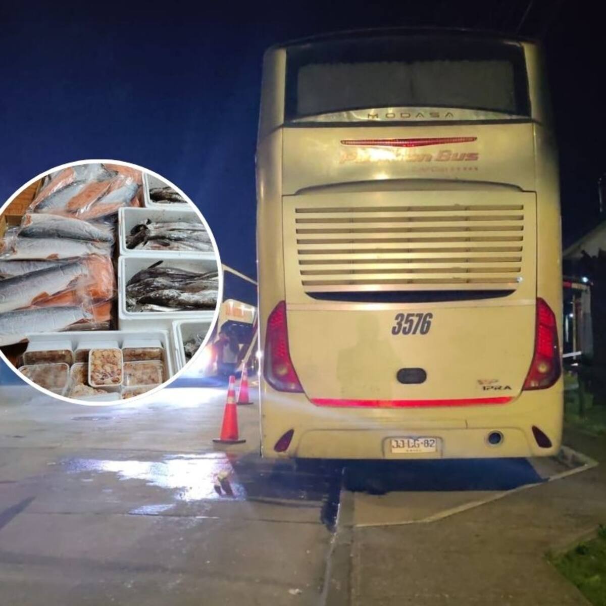 Para Semana Santa: decomisan mariscos y pescados sin cadena de frío en Frutillar que iban a la zona central
