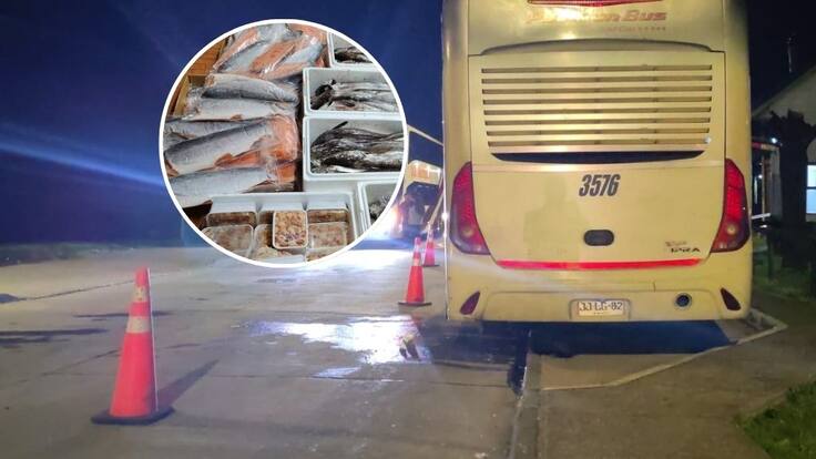 Para Semana Santa: decomisan mariscos y pescados sin cadena de frío en Frutillar que iban a la zona central