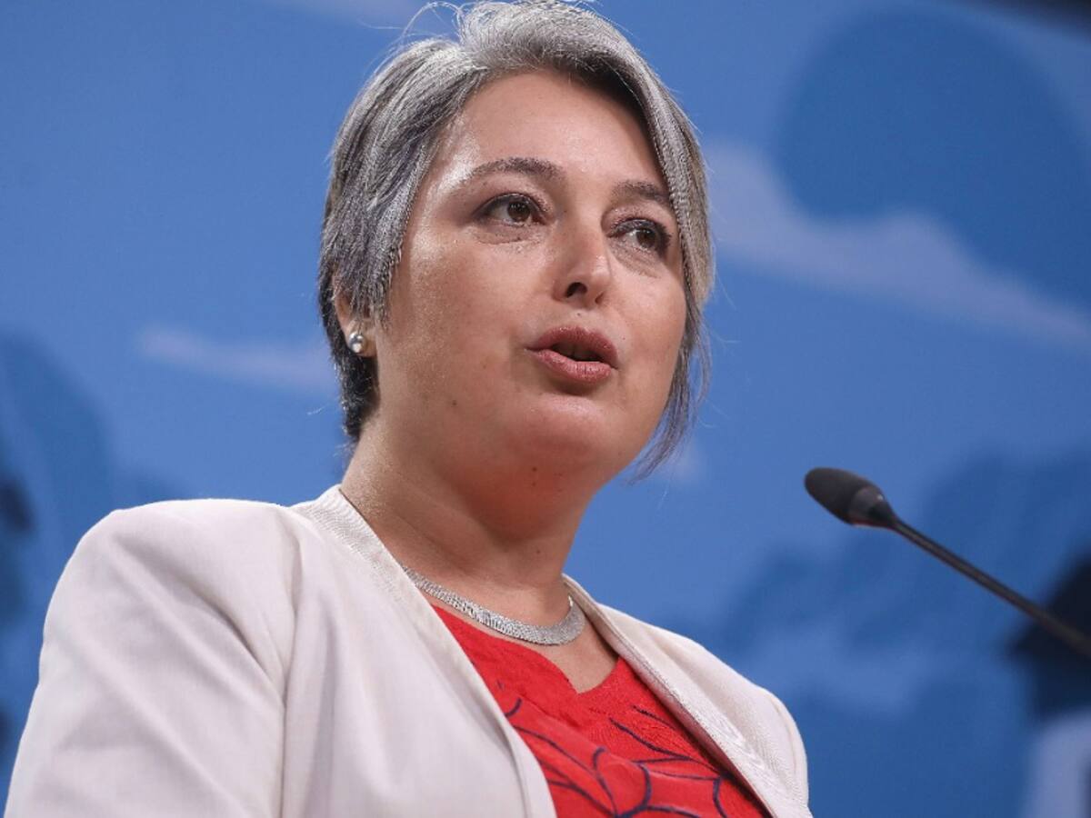 Combate de incendios: Gobierno adelanta «nuevo pacto» que incluiría regulación a empresas forestales