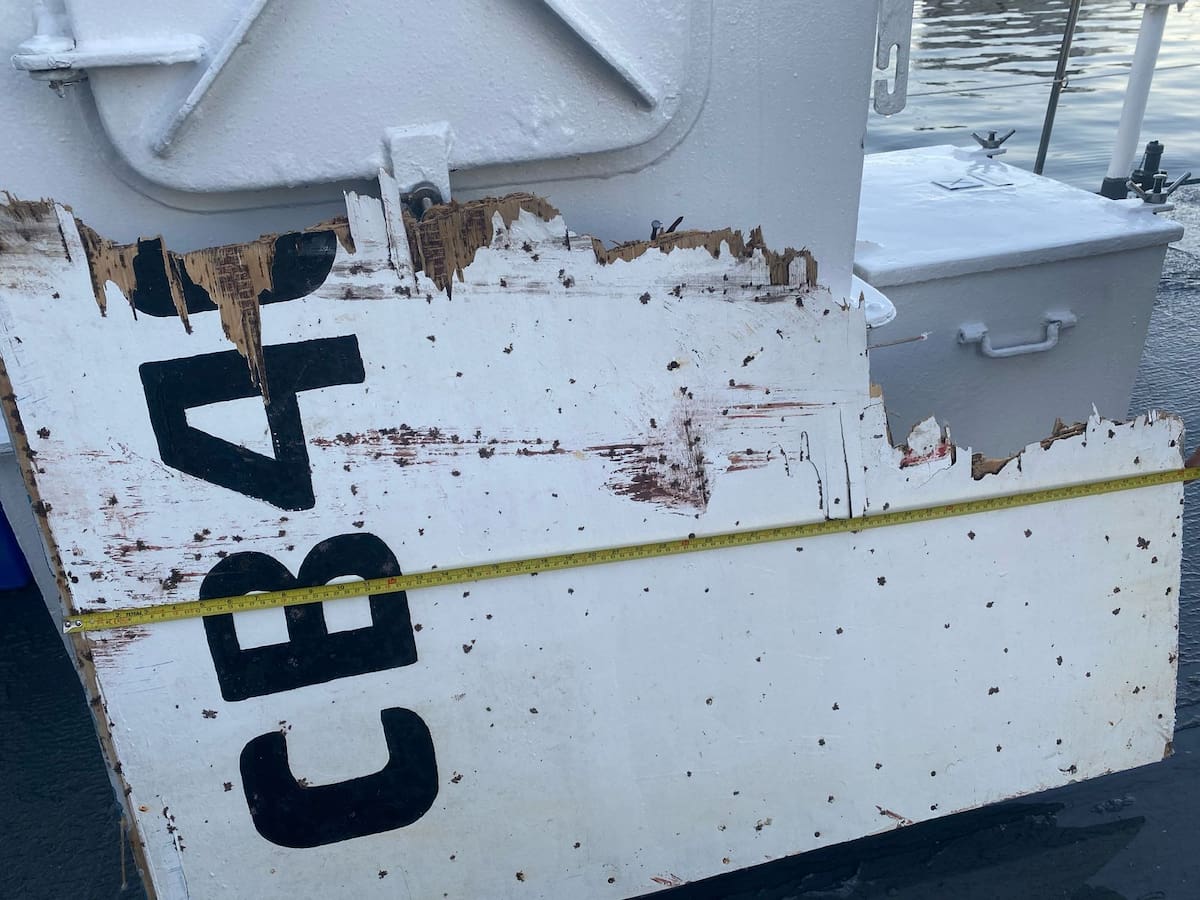 Las imágenes que dejó el hallazgo de balsa salvavidas de la embarcación Bruma en la región del Biobío