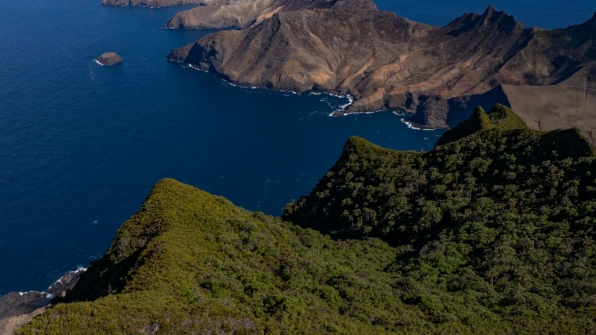 Chile hace historia: se convierte en el tercer país con mayor superficie de océanos protegidos en el mundo
