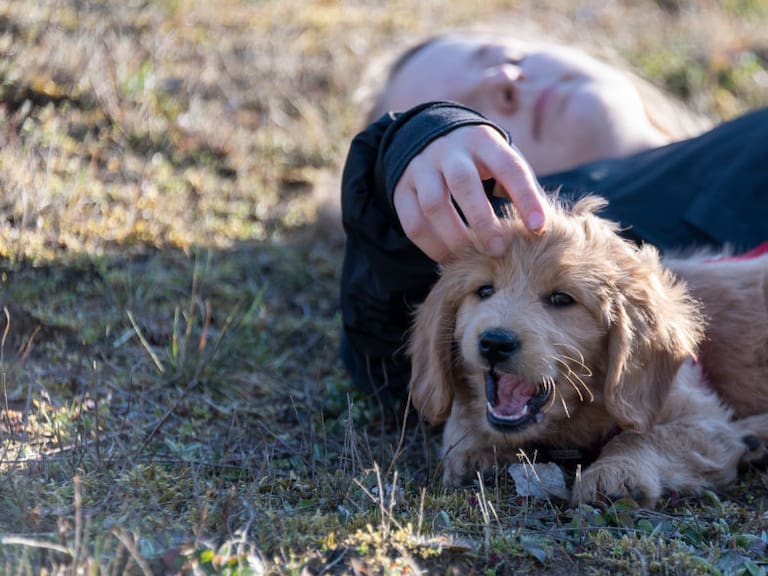 Estudios revelan las tres razones que explican la fidelidad de los perros