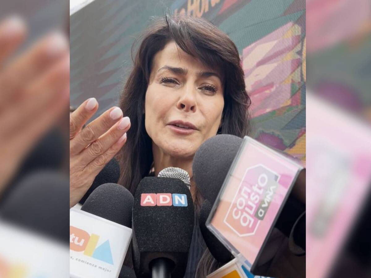 Tonka Tomicic rompe el silencio y se refiere a polémica durante Gala de Viña 2025: “Mi equipo también fue agredido”