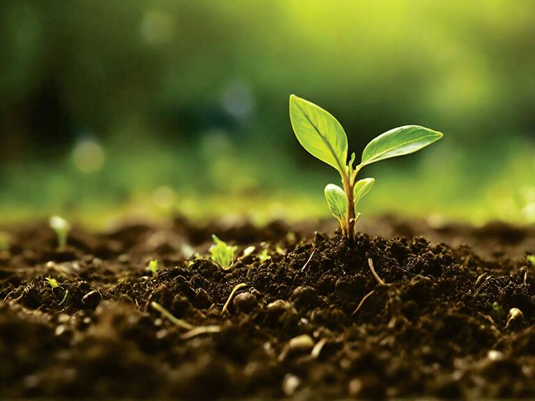 BancoEstado refuerza su compromiso con la sostenibilidad a través de su plataforma Impacto Verde