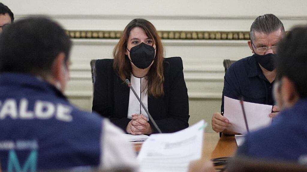 Constanza Martínez, Delegada Presidencial Región Metropolitana
