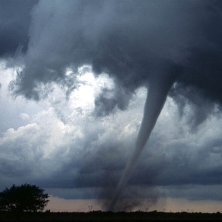 ¿La CIA admitió los chemtrails? La verdad sobre archivos antiguos que reactivaron la teoría en redes