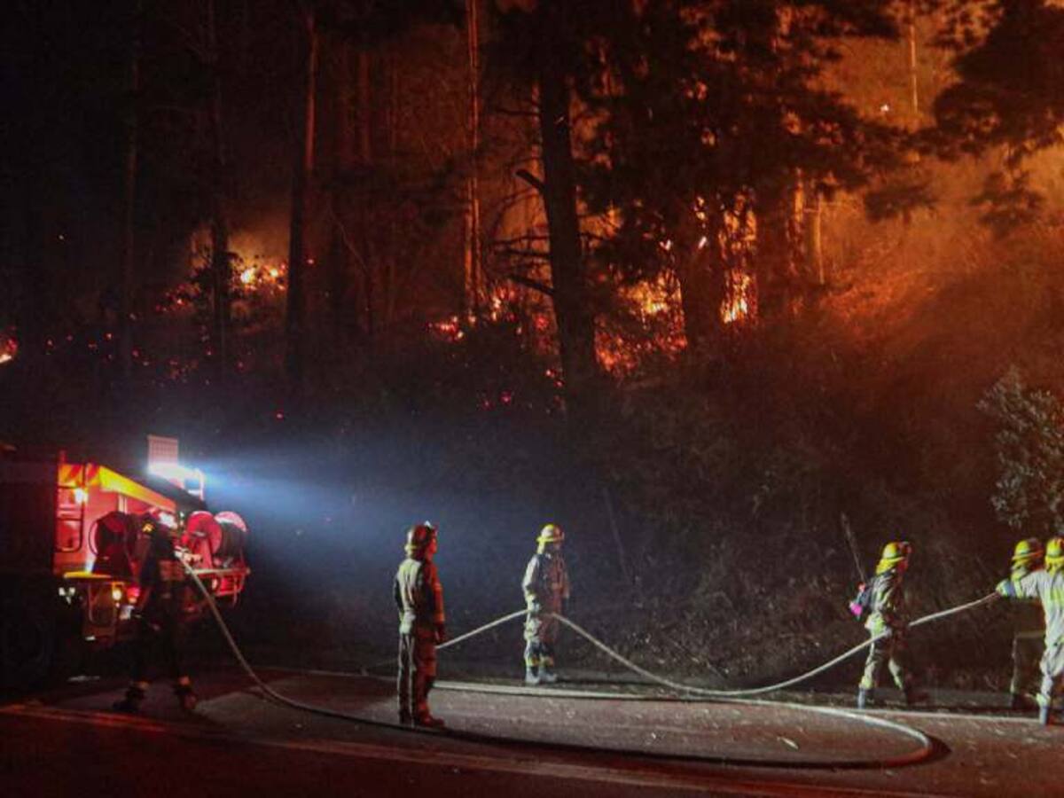 Corma cifra en 240 mil las hectáreas forestales destruidas por incendios