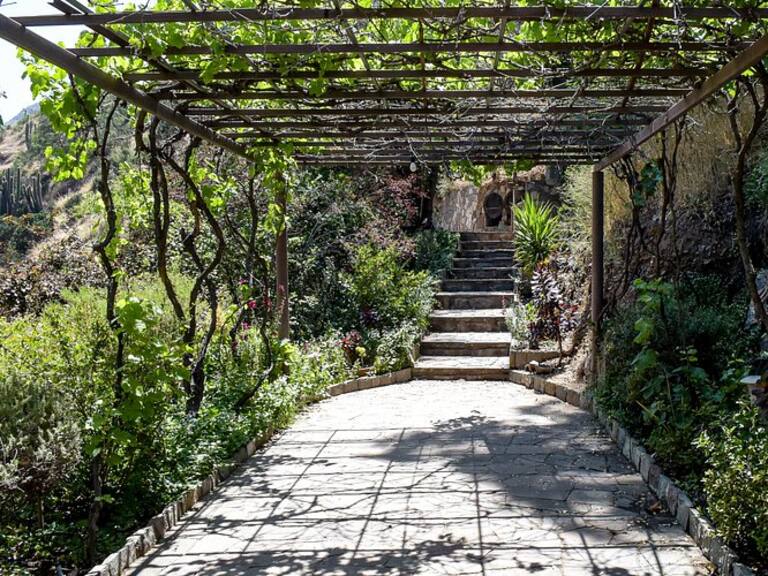 La Región Metropolitana suma un nuevo humedal protegido: es zona de pumas, cóndores y zorros