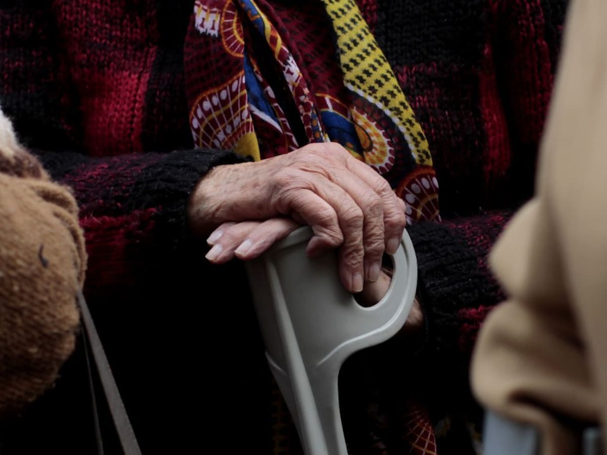 Chile da un paso histórico contra el Alzheimer: crean red nacional para estudiar la enfermedad