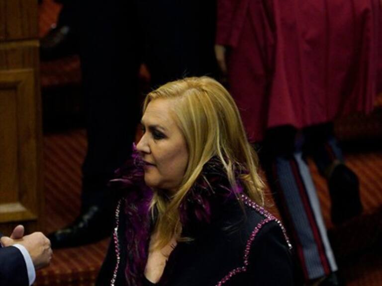Diputada Pamela Jiles pretende forjar una ley de adopción urgente