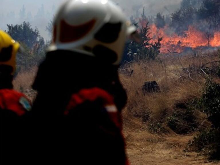 Decretan alerta roja en San Antonio por incendio forestal