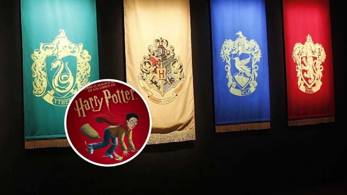 Harry Potter aterriza gratis en Providencia: fechas, horarios y cómo será el recorrido literario