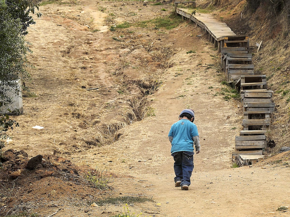 El dato de UNICEF que preocupa en el Día de la Niñez: Solo 1 de cada 4 adolescentes de bajos ingresos alcanza aprendizajes básicos