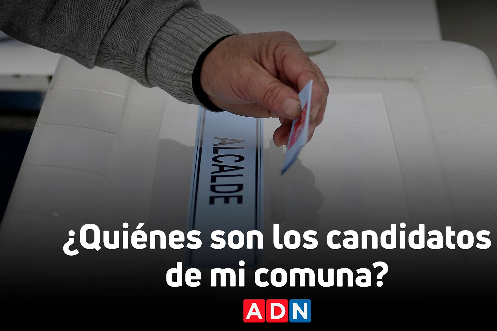 Elecciones Municipales 2024: ¿Quiénes son los candidatos de mi comuna? | ADN