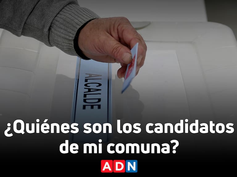 Elecciones Municipales 2024: ¿Quiénes son los candidatos de mi comuna? | ADN