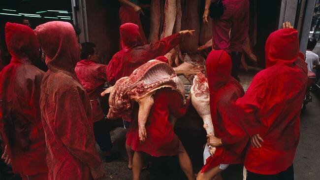 Looking from behind a group of red uniformed meat market traders who are manhandling joints of pork from the back of a meat wagon at Macau's main meat market, on the Rua Sul do Mercado de Sao Domingos, just off the Avenida de Almeida Ribeiro, in Central Macau. The men have on hooded red tunics that hide the bloodstains of dead animal carcasses, a very practical choice of colour (color). One man has half a pig on his shoulders while another holds a leg in his left hand. The animal carcasses look heavy and they are both struggling under their weight. There is much more meat to be offloaded from the truck and the men queue up to take their turn and remove them for sale inside the market building. Besides historical Chinese and Portuguese world-heritage relics, Macau's biggest attraction is its gaming business. (Photo by In Pictures Ltd./Corbis via Getty Images)