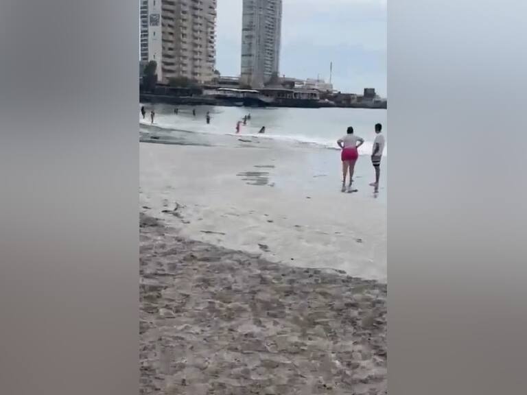 Hallan cuerpo en orilla de la Playa Cavancha en Iquique