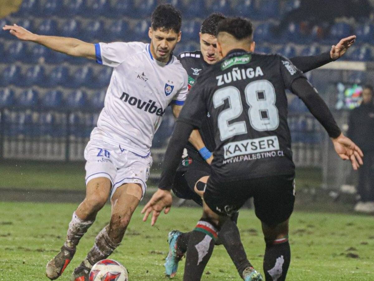 Huachipato y Palestino empataron en un partidazo por la jornada 22 del Campeonato Nacional