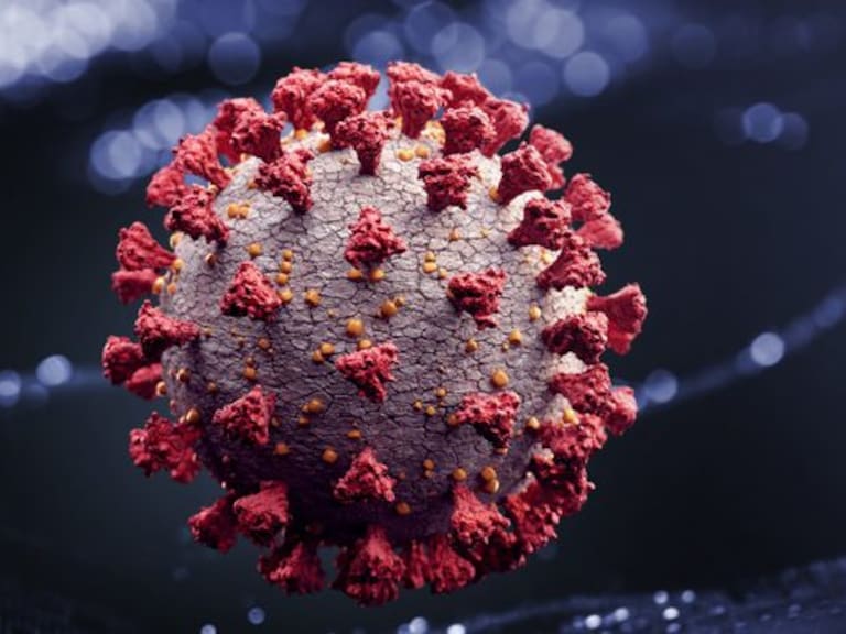 Contraloría habilitó sitio web con información relacionada con la pandemia del coronavirus Covid-19