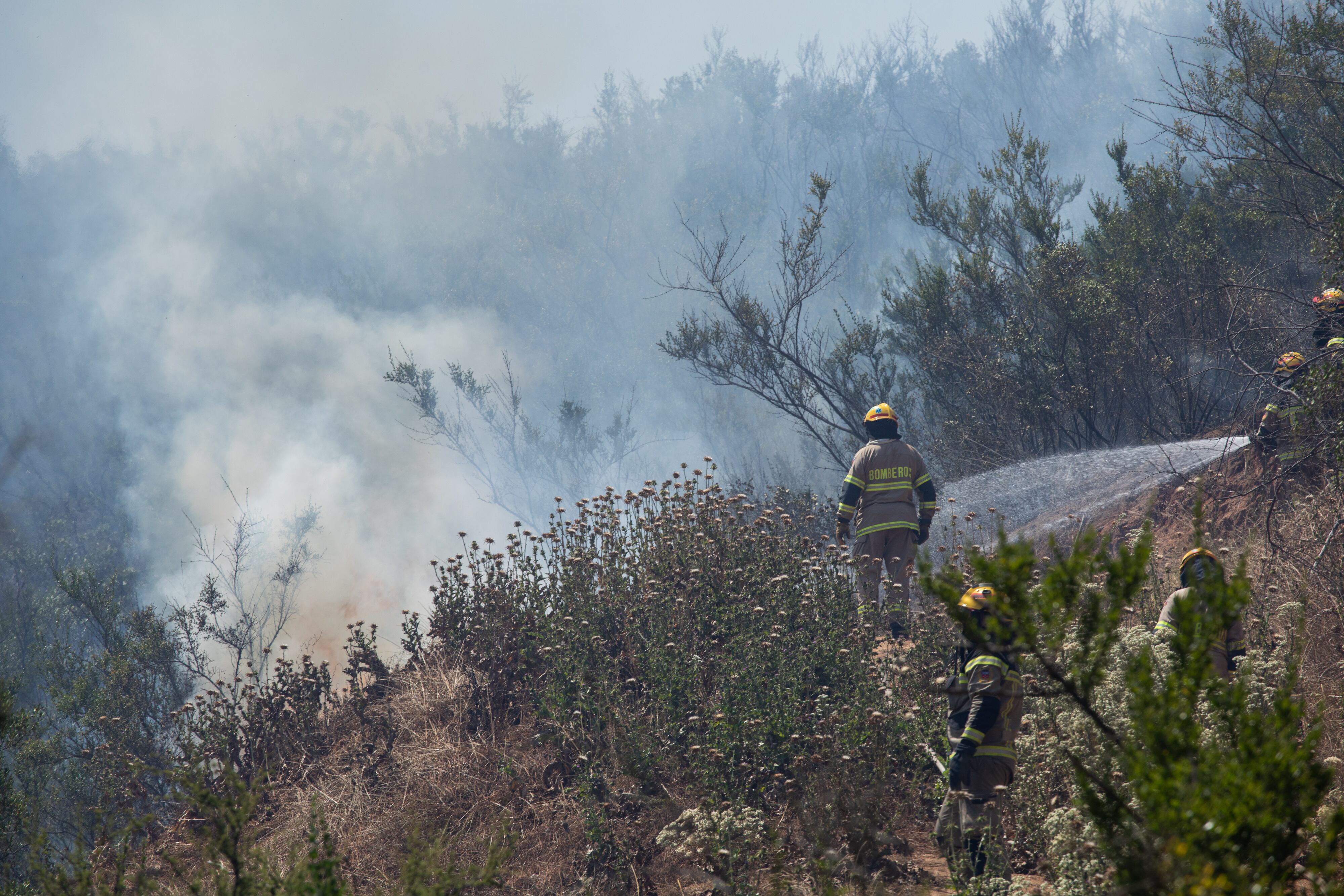 10 DE DICIEMBRE 2023 / LIMACHE
Voluntarios de bomberos, conaf y ejercito se aprestan para realizar la extincion del incendio que ha afectado Limache, Villa Alemana y sectores aledaños.
FOTO: SEBASTIAN OLAVARRIA / AGENCIAUNO