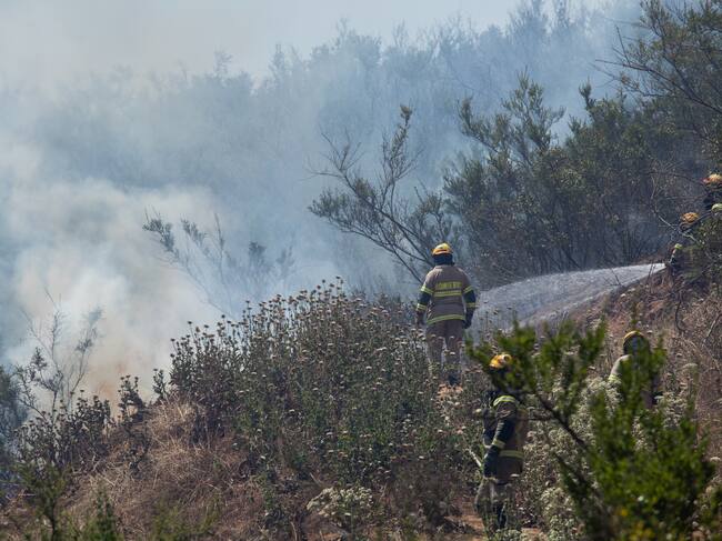 10 DE DICIEMBRE 2023 / LIMACHE
Voluntarios de bomberos, conaf y ejercito se aprestan para realizar la extincion del incendio que ha afectado Limache, Villa Alemana y sectores aledaños.
FOTO: SEBASTIAN OLAVARRIA / AGENCIAUNO