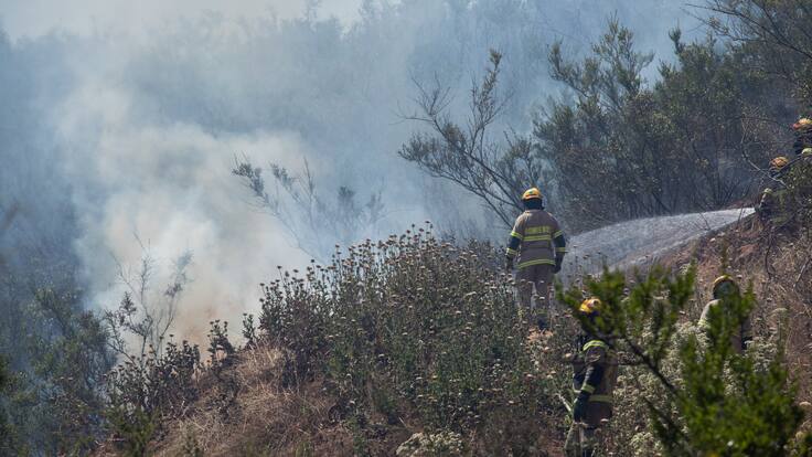 Incendio en Valparaíso - Gonzalo Pérez - Ciudadano ADN - 30 de enero de 2024