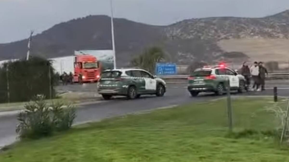Detienen a cinco sujetos por robo de camión con 23 toneladas de pescado en la Ruta 5 Sur: habían secuestrado al conductor