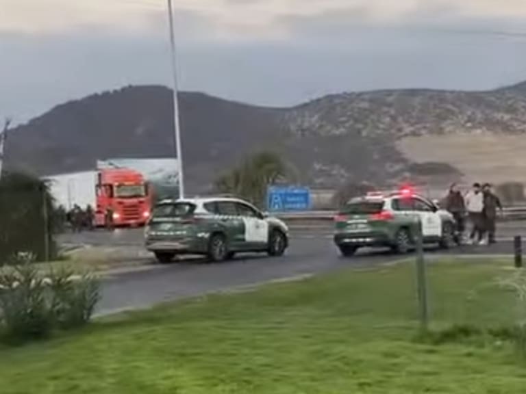 Detienen a cinco sujetos por robo de camión con 23 toneladas de pescado en la Ruta 5 Sur: habían secuestrado al conductor