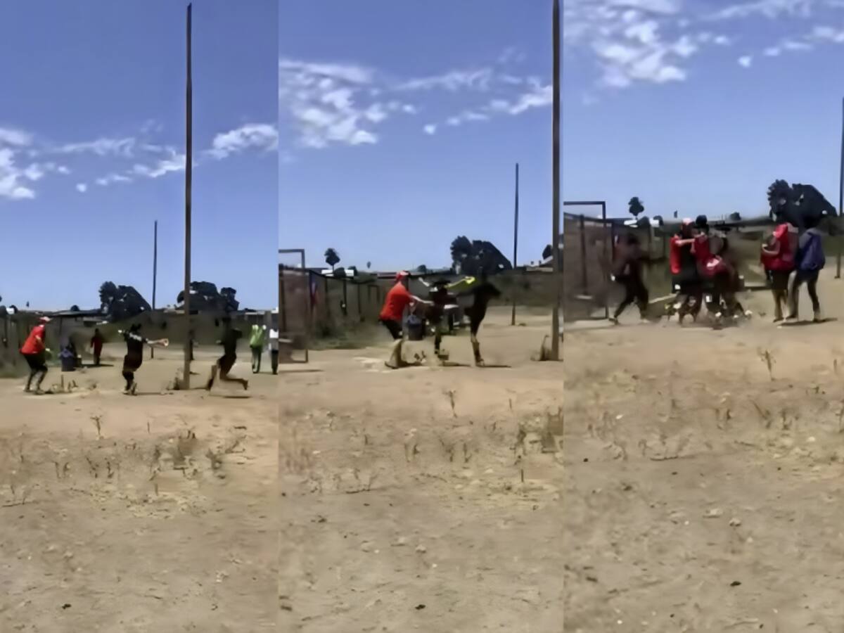 Arbitra sufre brutal agresión por parte de jugadores en un campeonato juvenil de La Serena