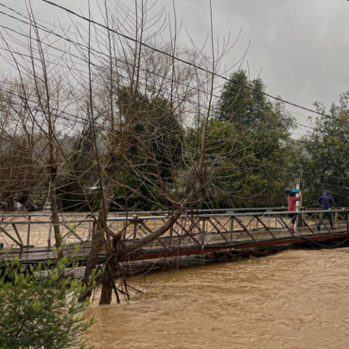 Región del Biobío es la más afectada: Senapred reporta 1.245 damnificados entre Coquimbo y Los Ríos producto del sistema frontal