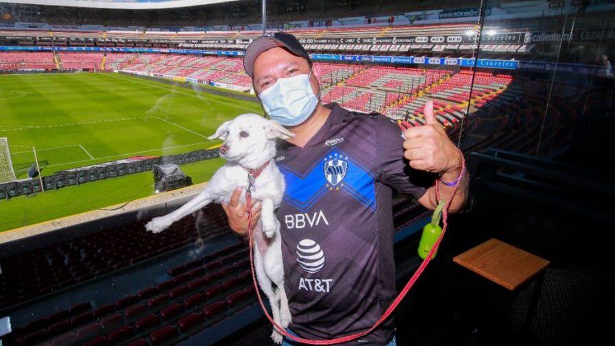 Mexico es el primer país en tener un estadio con un sector especial para mascotas