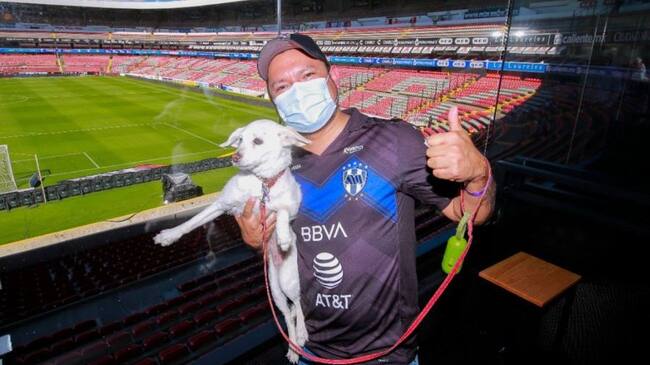 Mexico es el primer país en tener un estadio con un sector especial para mascotas