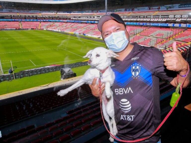 Mexico es el primer país en tener un estadio con un sector especial para mascotas