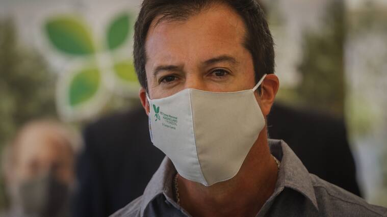 Lucas Palacios por dichos de la presidenta de AFP