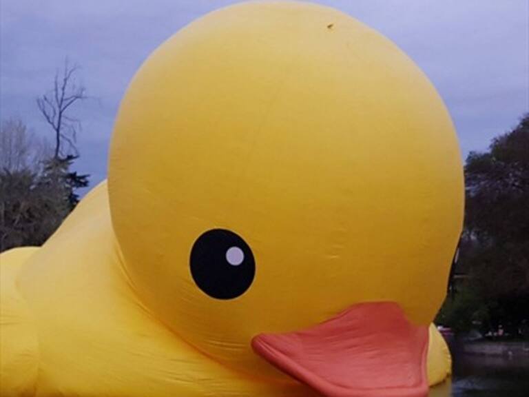 Festival Hecho en Casa anunció medidas para revivir al pato gigante de Quinta Normal