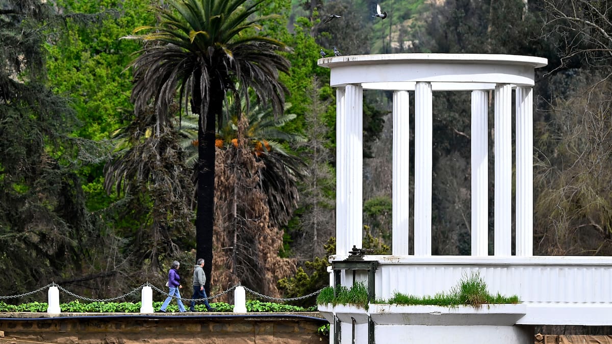 SAG confirma influenza aviar en ganso del Jardín Botánico de Viña del Mar