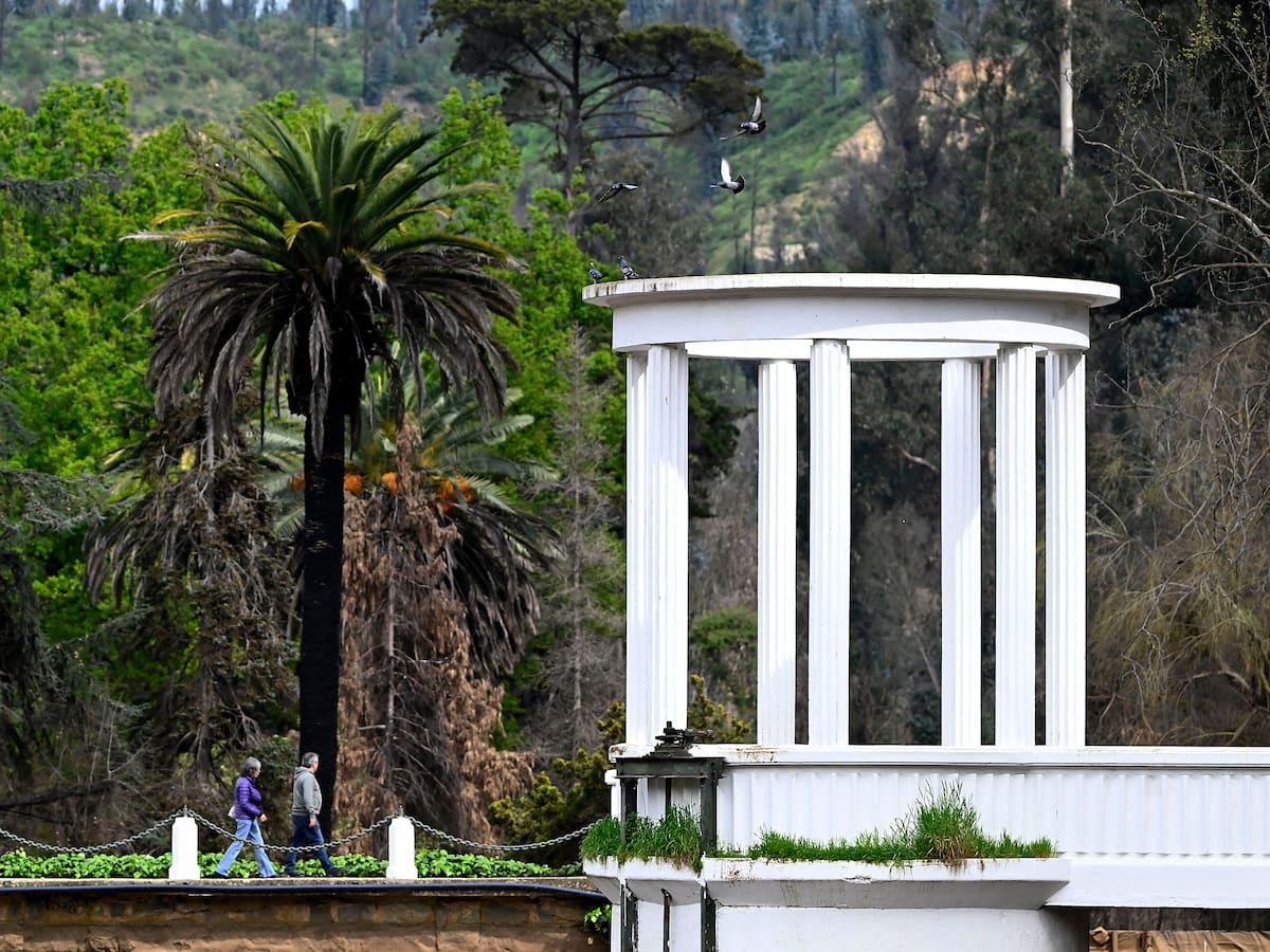 SAG confirma influenza aviar en ganso del Jardín Botánico de Viña del Mar
