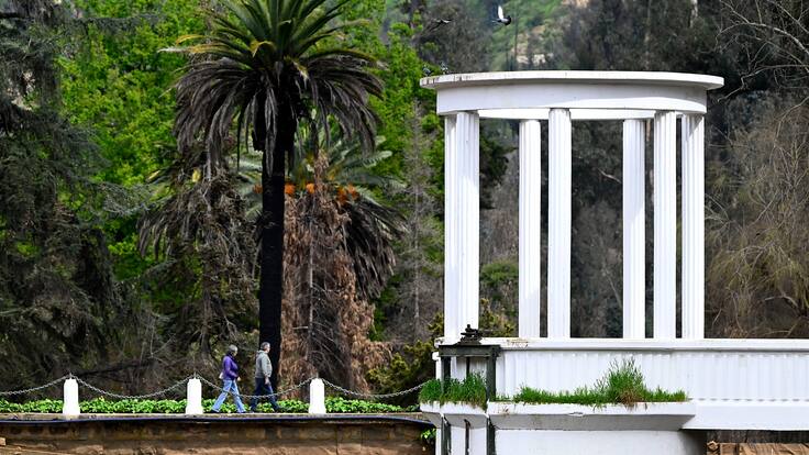 SAG confirma influenza aviar en ganso del Jardín Botánico de Viña del Mar