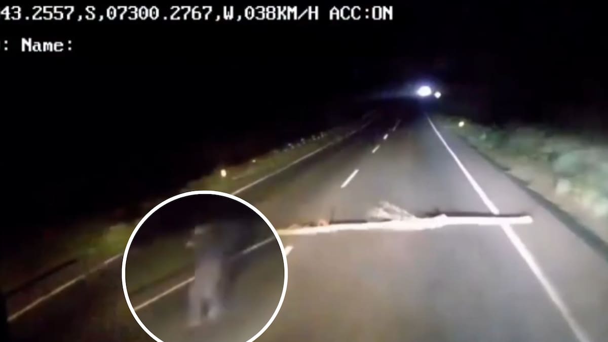 Video capta presunto intento de emboscada contra camión forestal en ruta de La Araucanía
