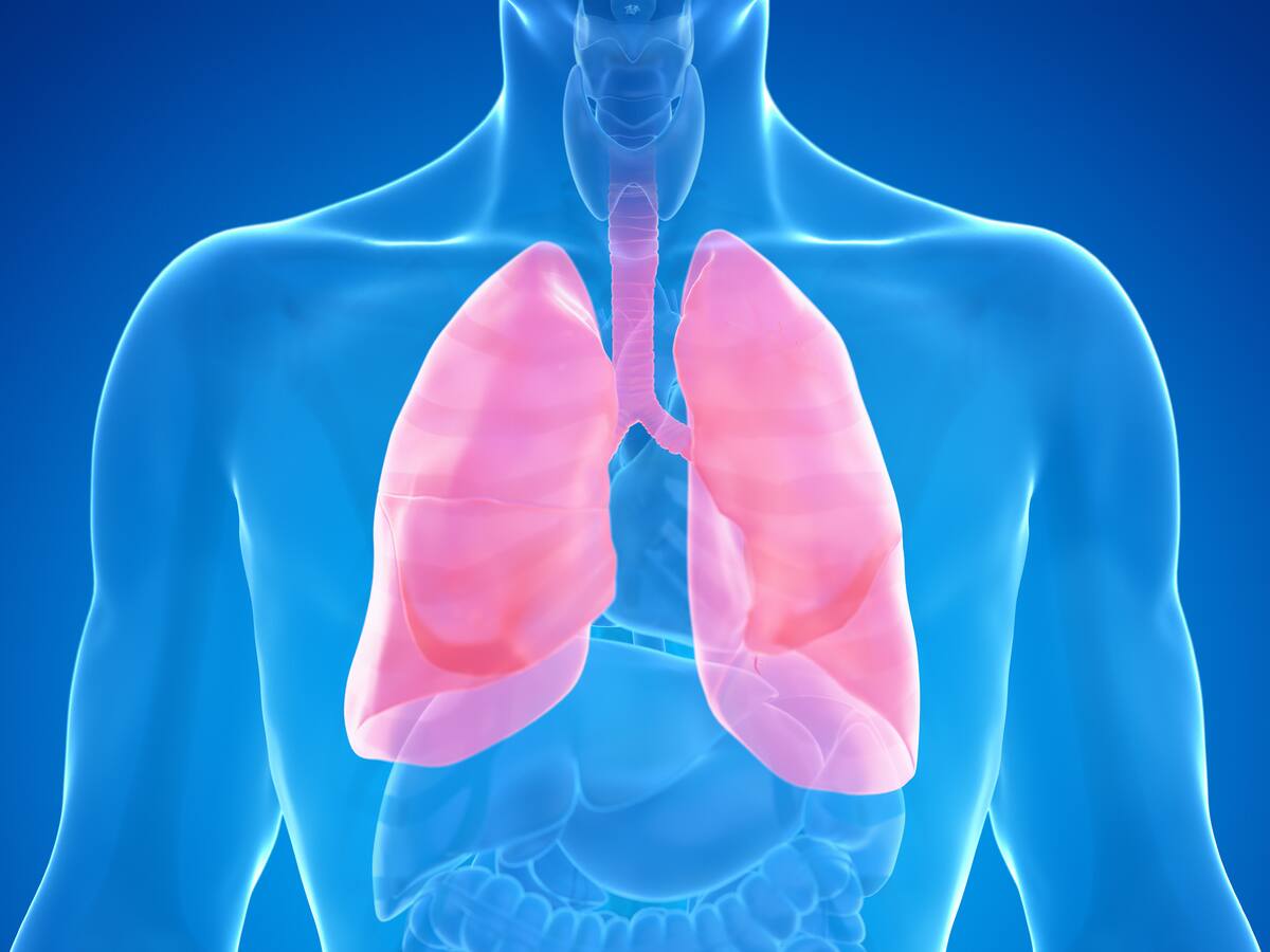 Qué es la peste pulmonar y por qué genera preocupación a nivel mundial