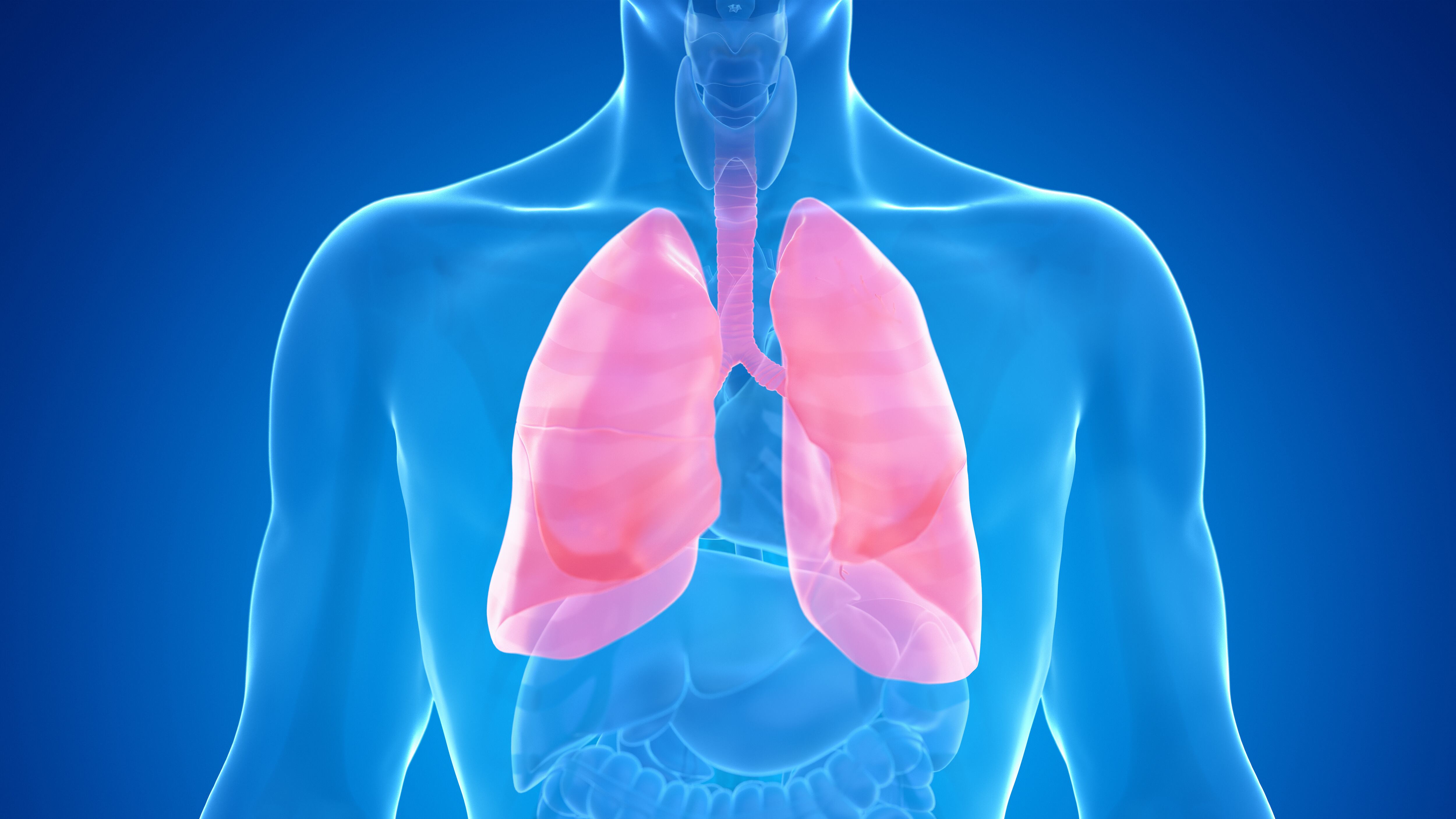 Qué es la peste pulmonar y por qué genera preocupación a nivel mundial