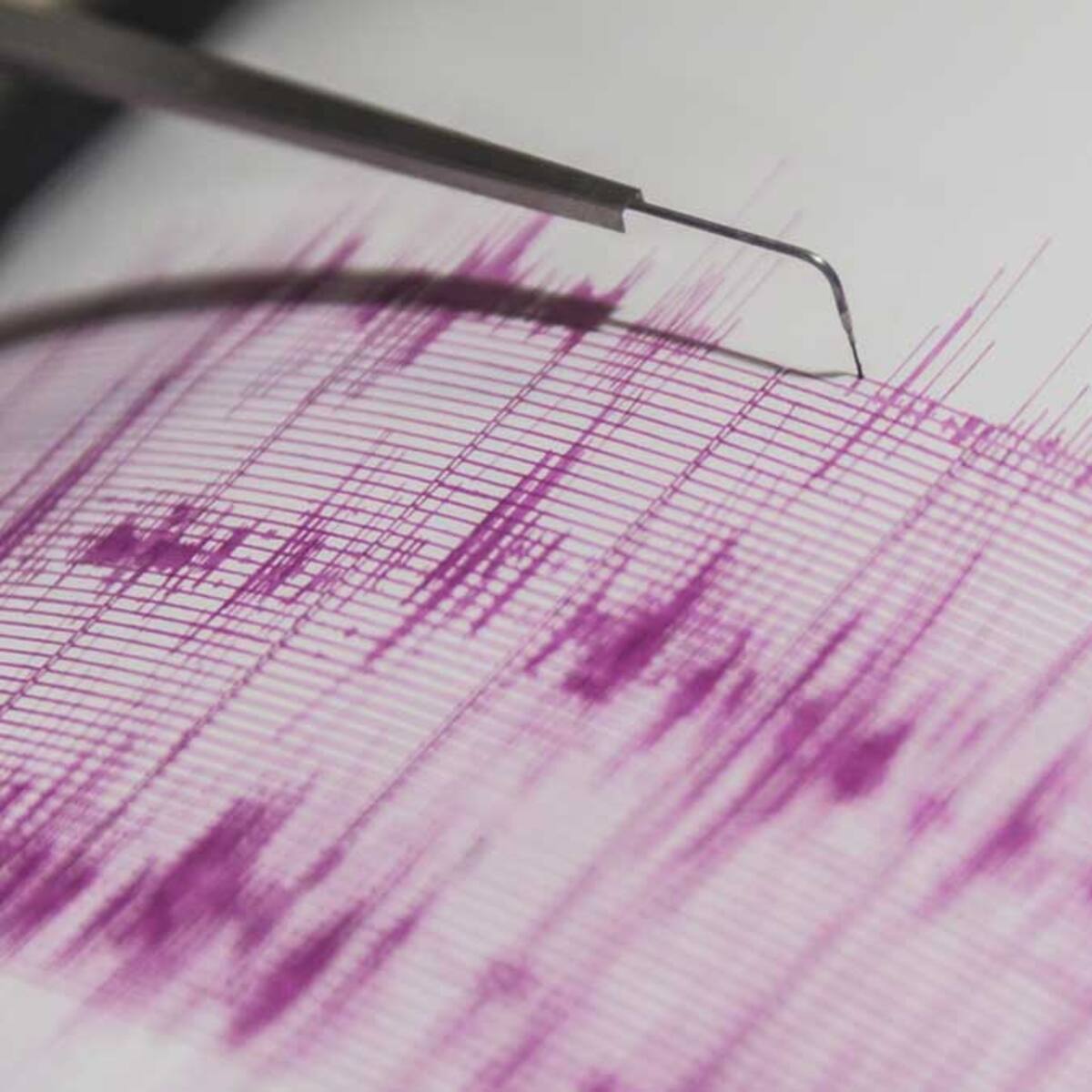 Temblor se percibe en el norte de Chile: revisa acá la magnitud y epicentro del sismo