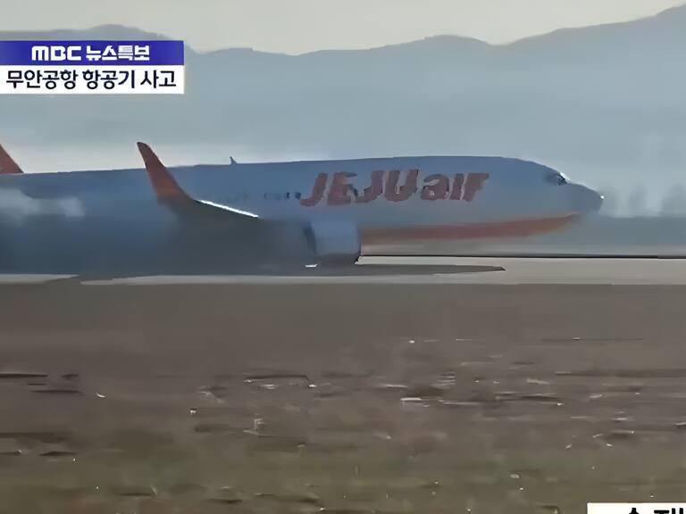 Avión sufre accidente al aterrizar en Corea del Sur y deja al menos 29 fallecidos