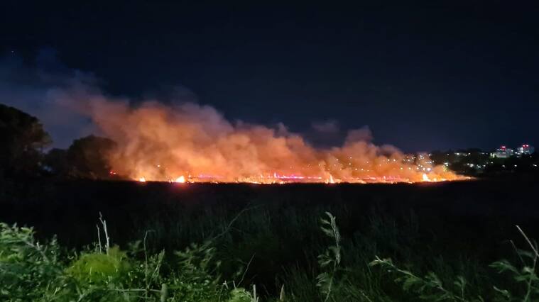 Investigan nexo entre incendio en humedal Paicaví y el "banderazo" de hinchas de Universidad Católica