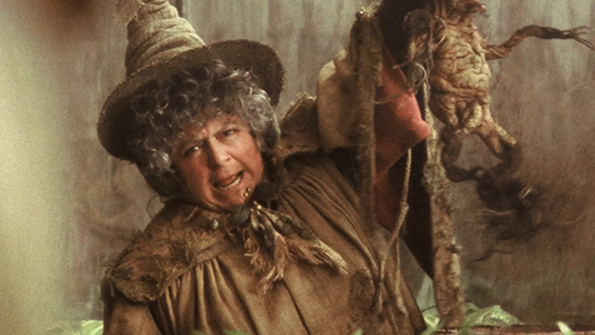 Harry Potter y la Cámara Secreta Captura