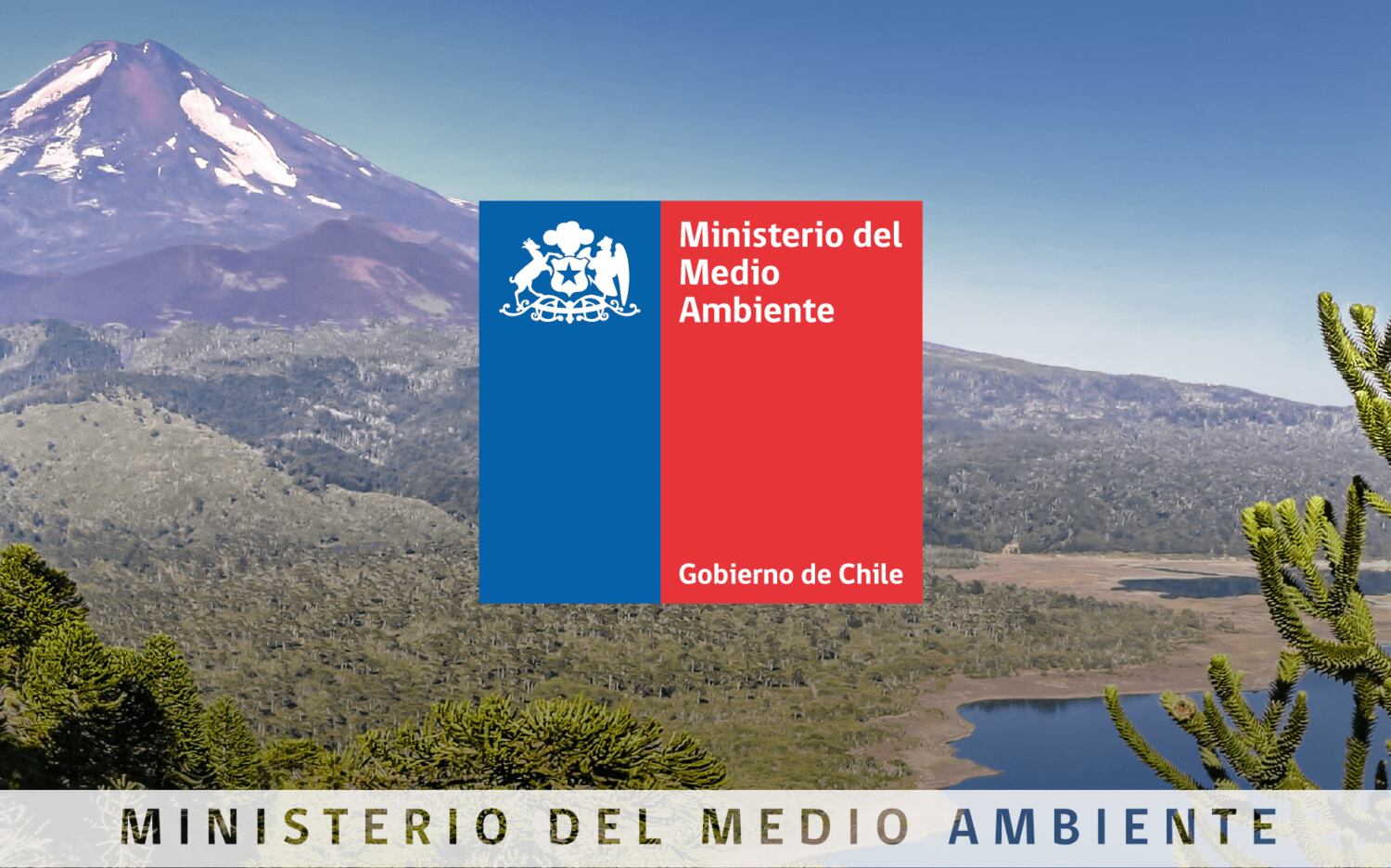 Ministerio de Medio Ambiente