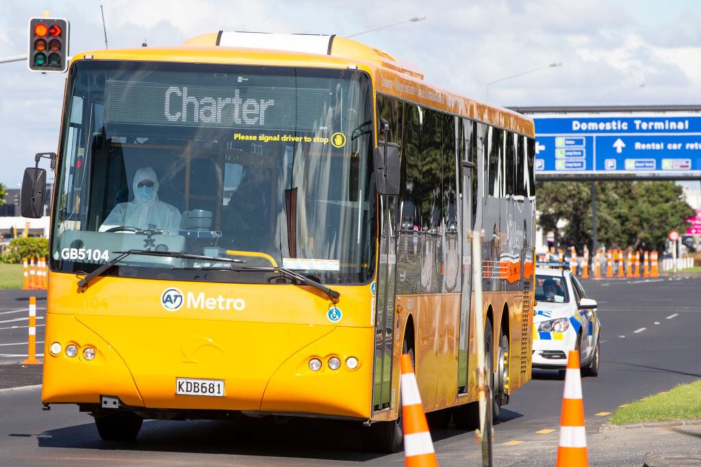 Buses con medidas sanitarias para quienes regresan a Nueva Zelanda
