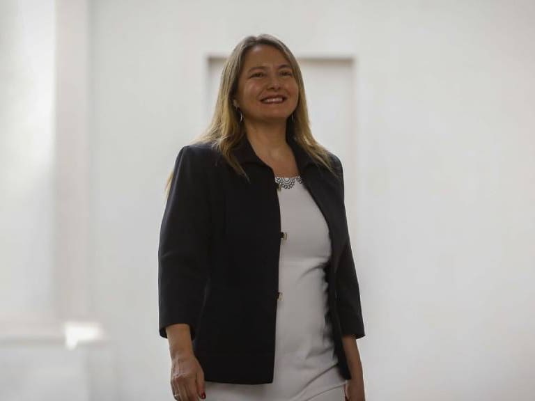 Diputada Catalina del Real renuncia a su militancia en Renovación Nacional