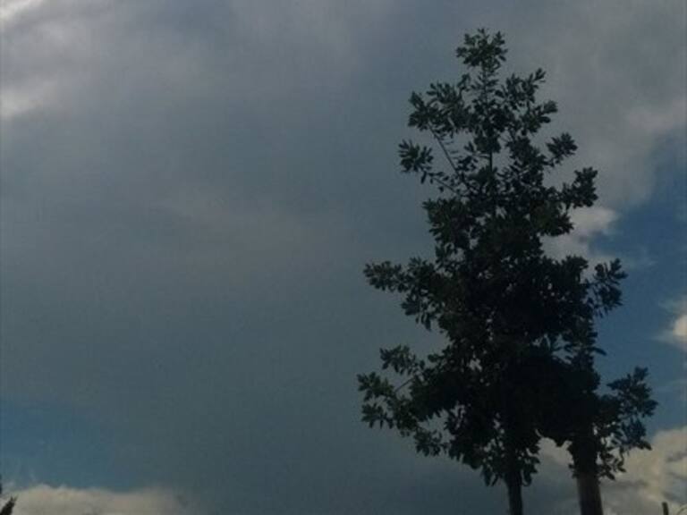 Menor murió tras impacto de un rayo en Cunco